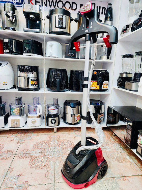 اتو ایستاده مارک تفال مدل it6540