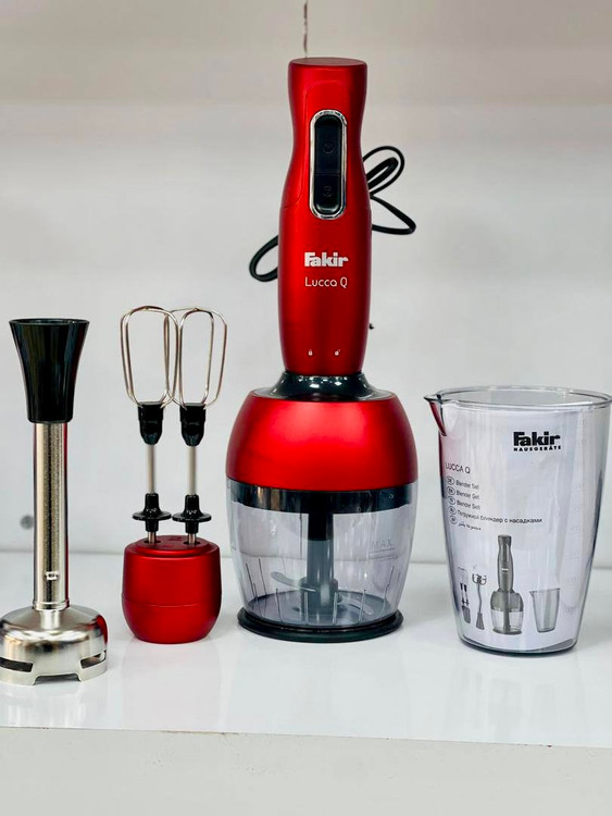 غذاساز فکر مدل لوکا کیو Lucca Q