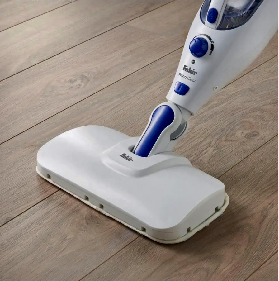 بخارشو ایستاده فکر آلمان مدل ALINA CLEAN